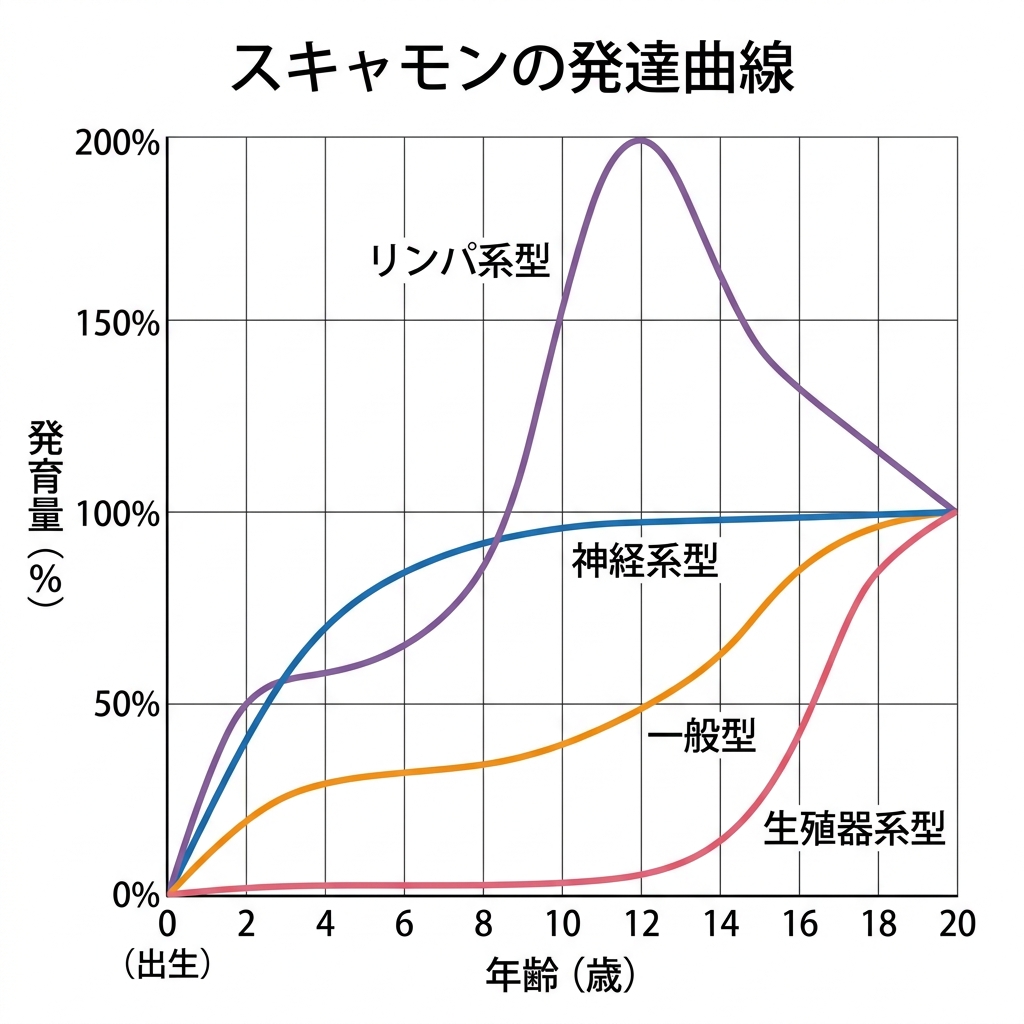 スキャモンの発育曲線